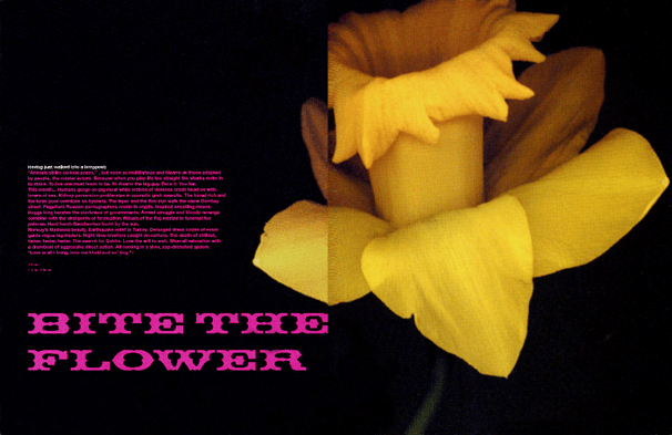 SLEAZENATION_5feature