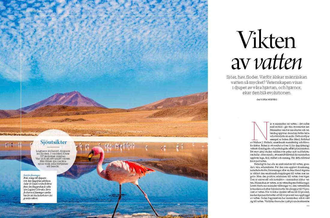 HB_Collection_Inlagankomplett_korr1_Page_04