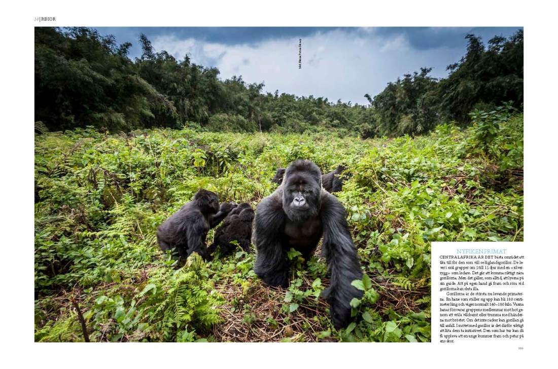 HB_Collection_Inlagankomplett_korr1_Page_19